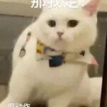 镂咕月