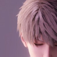 evaer